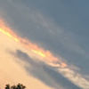 skylarcox385